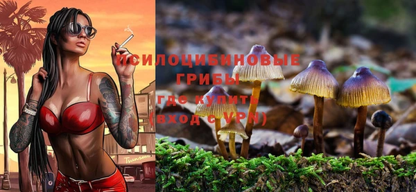 дживик Алзамай