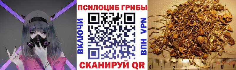 наркотики  Усть-Кут  Галлюциногенные грибы прущие грибы 